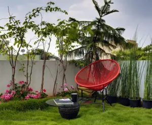 slokesh-60x40-plot-residence-garden-landscape-design-residential-architects-near-me