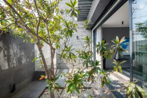 interior-garden-shree-siddhi-80x60-luxury-house-in-shimoga-6000sft-4BHK-home-terrace-garden-landscaped-pockets